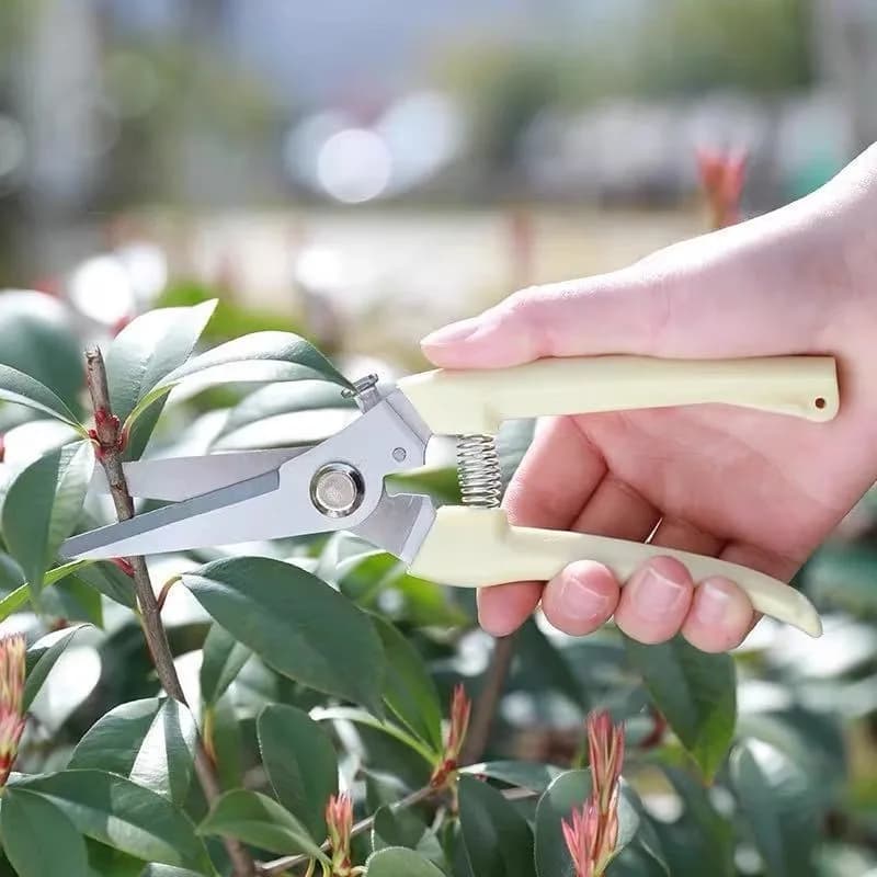 Power Pruning Shears for Fruit Trees