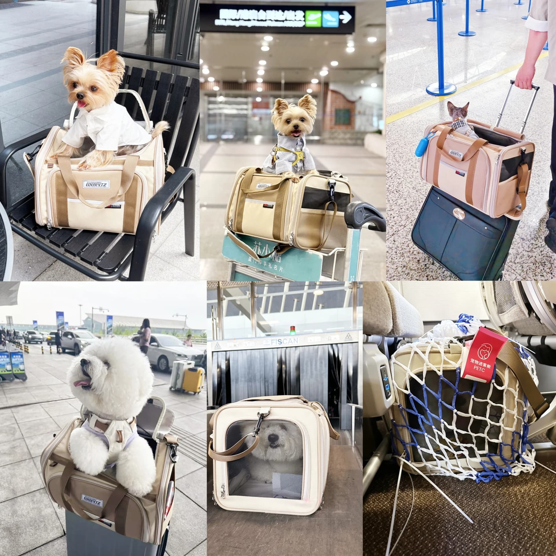 Pet Carrier Bag for Cats and Dogs