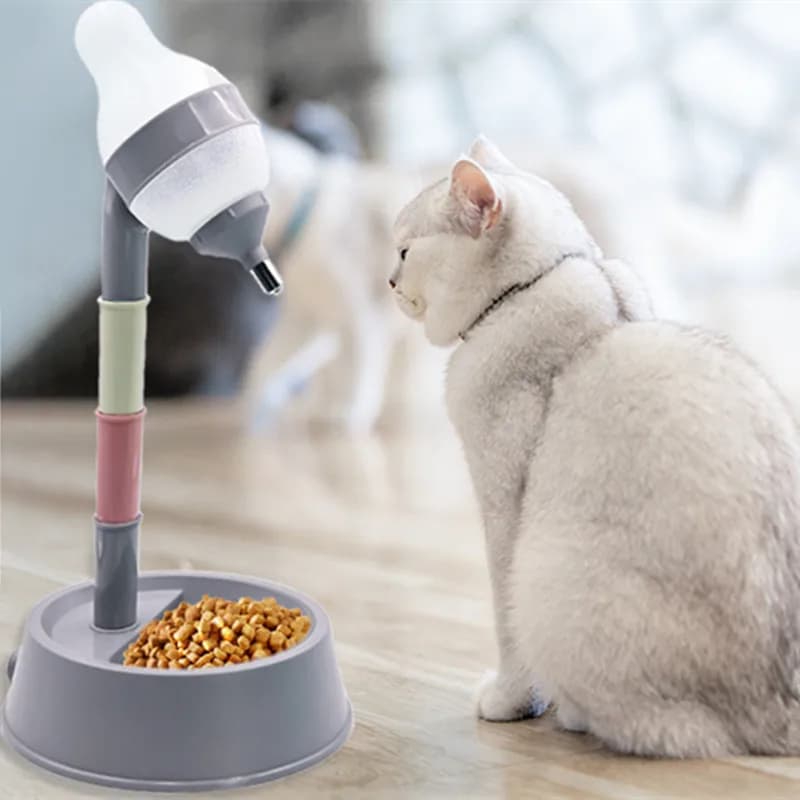 Adjustable Height Pet Water Dispenser Bowl
