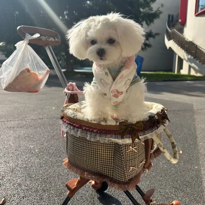 Pet Stroller for Small Dogs and Cats