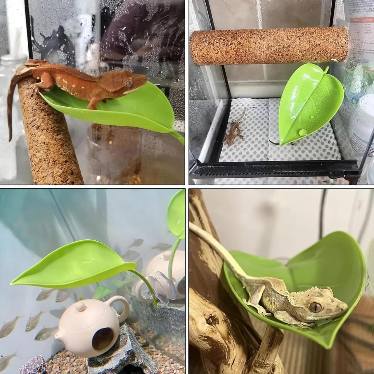 Reptile Basking Leaf Terrace With Suction Cup