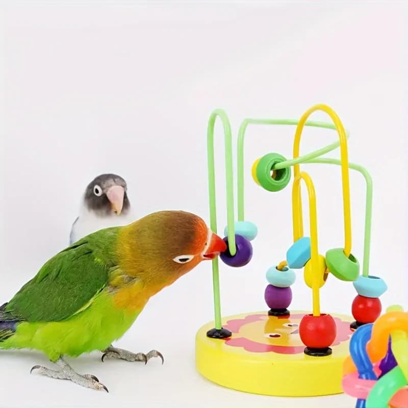 Bird Foraging Training Rings Puzzle Toy