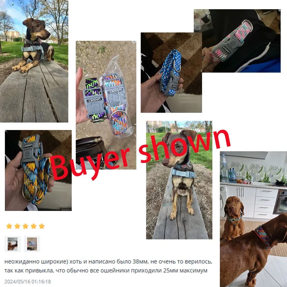 Durable Dog Collar with Leash for Training