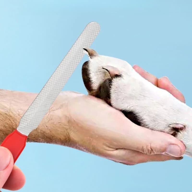 Dog and Cat Nail Filer