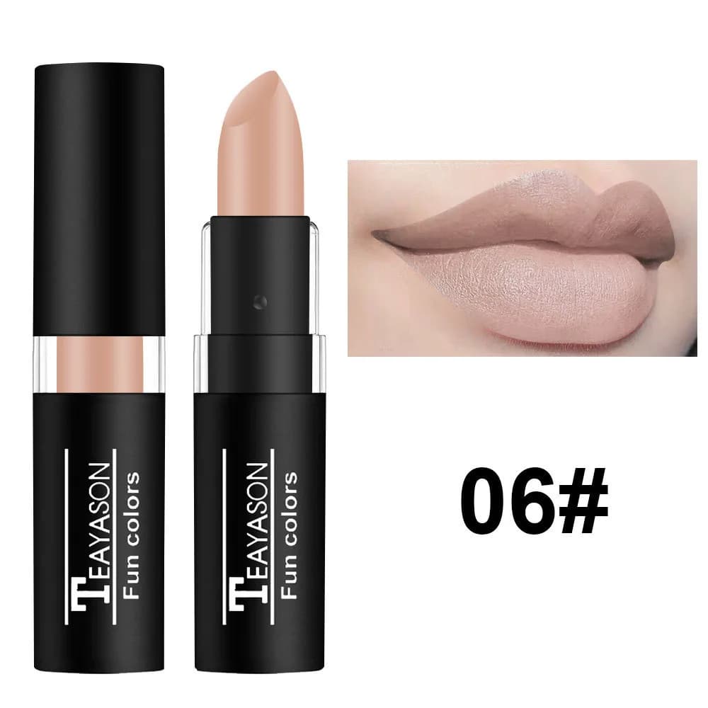 12 Color Waterproof Matte Lipstick Palette