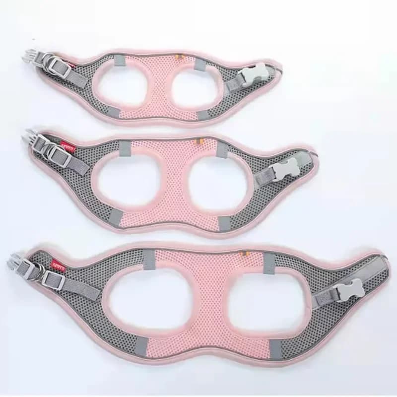 Reflective Mesh Harness and Leash Set for Cats and Small Dogs