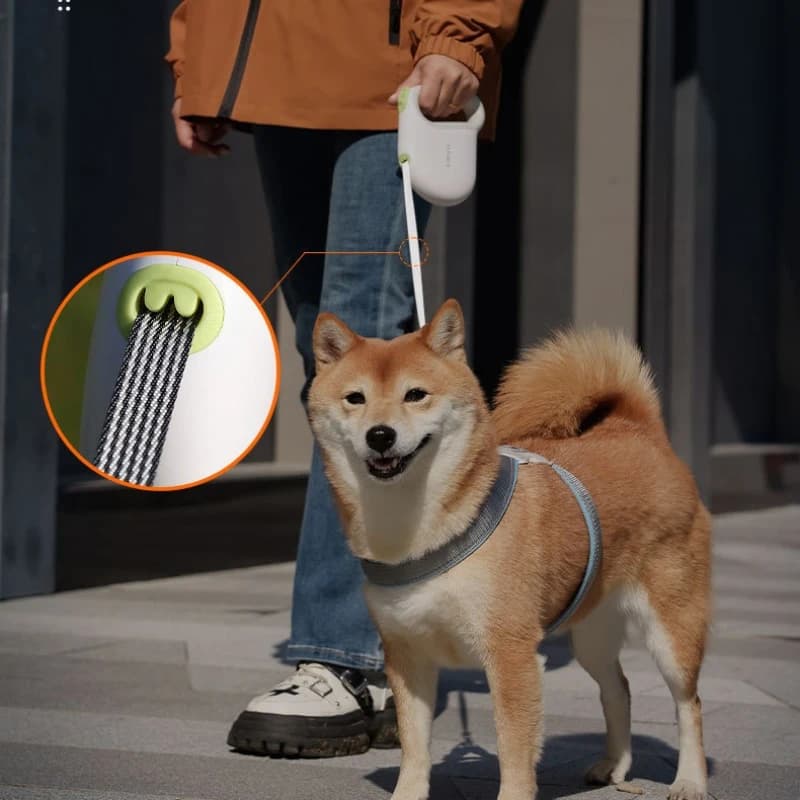Retractable Dog Leash with Reflective Strips