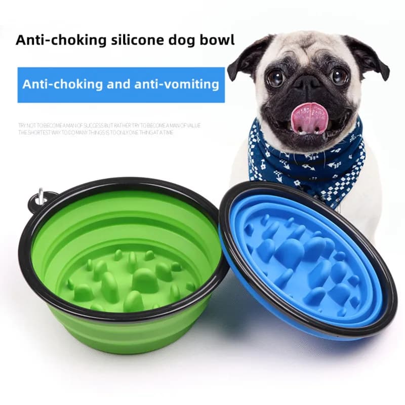 Collapsible Slow Feed Pet Bowl with Buckle
