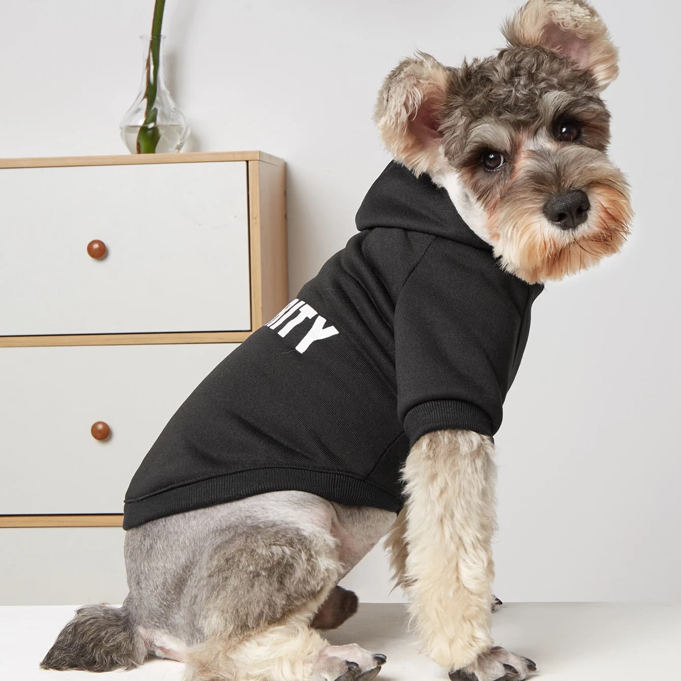 Dog Sweatshirt Hoodie