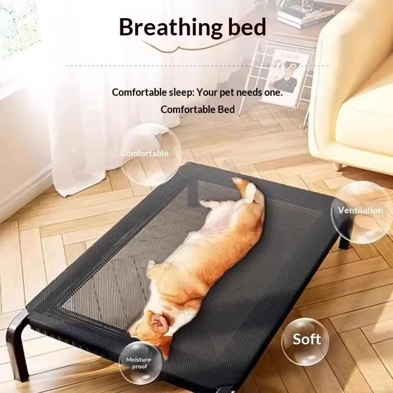 Elevated Breathable Dog Bed