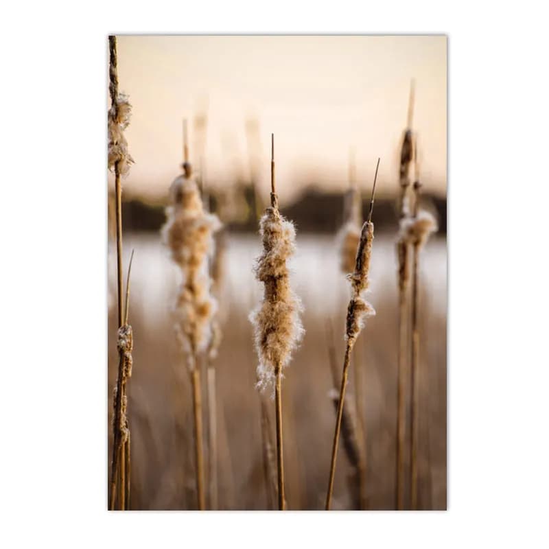 Nature Landscape Canvas Wall Art Prints