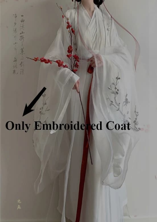 Women's Hanfu Ancient Princess Dress Costume