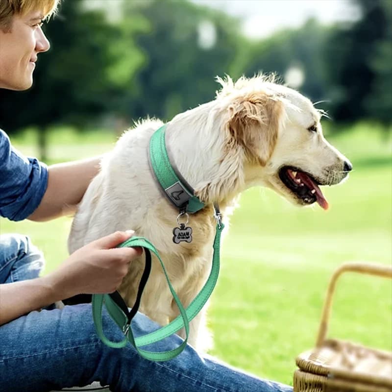 Padded Reflective Dog Collar with Metal Buckle