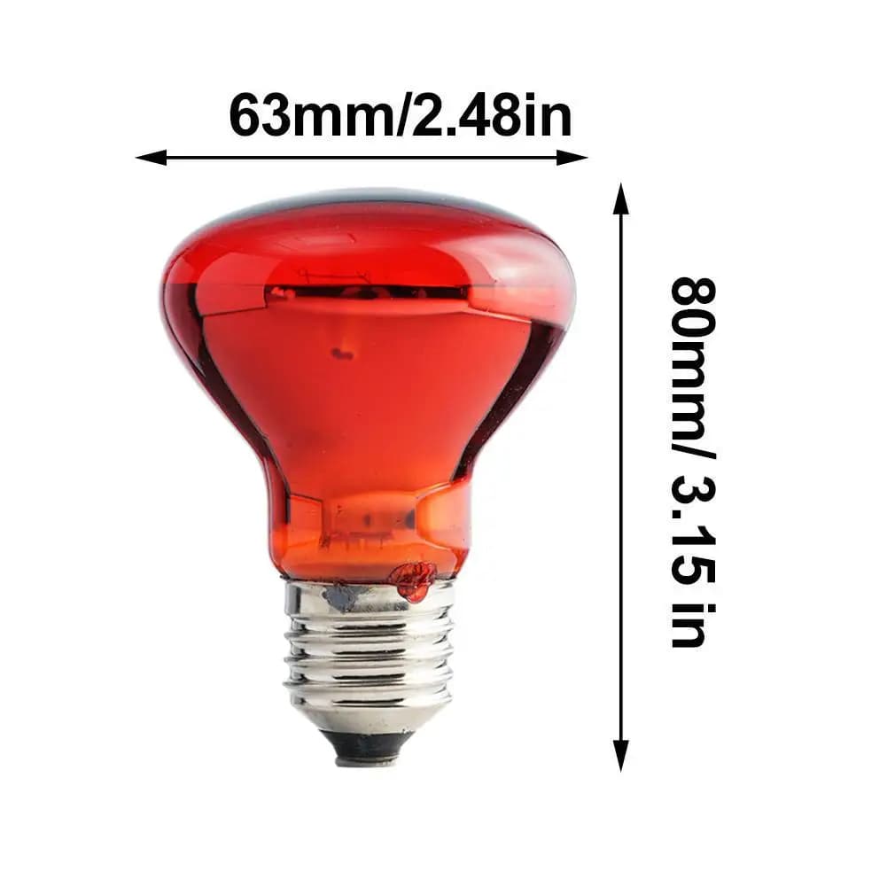 Reptile Heat Lamp Bulb UVA Day Night 25-100W