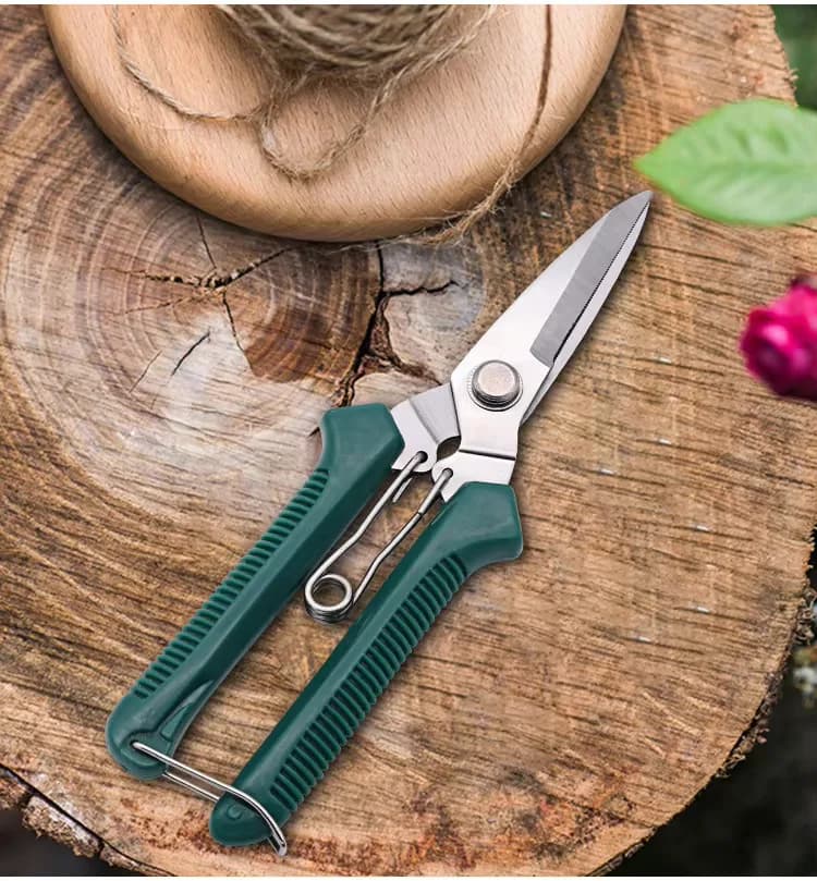 Straight Head Pruning Shears