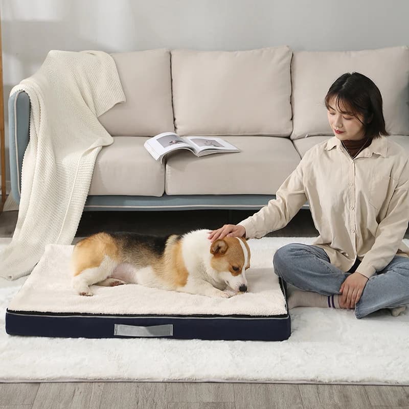 Memory Foam Dog Bed with Washable Cover