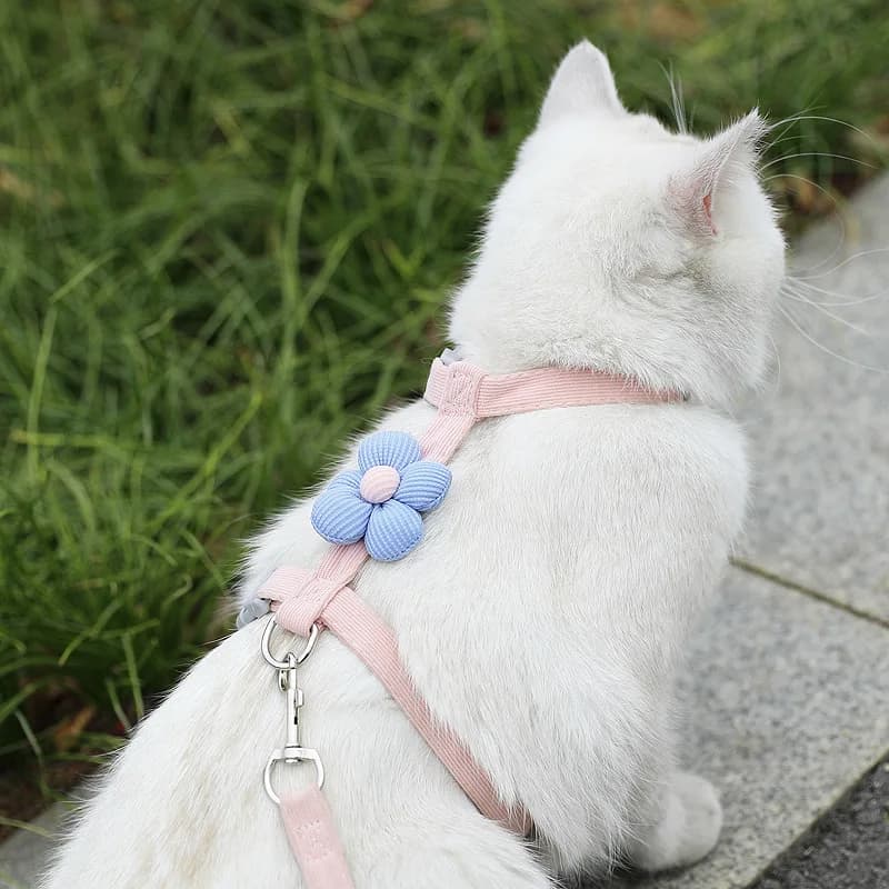 Adjustable Harness and Leash Set for Small Pets