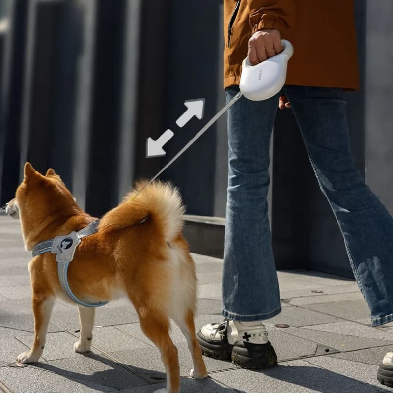 Retractable Dog Leash with Reflective Strips