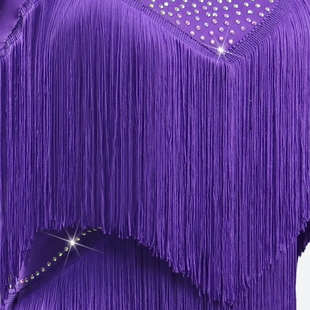 Latin Dance Costume Fringed Skirt Ballroom