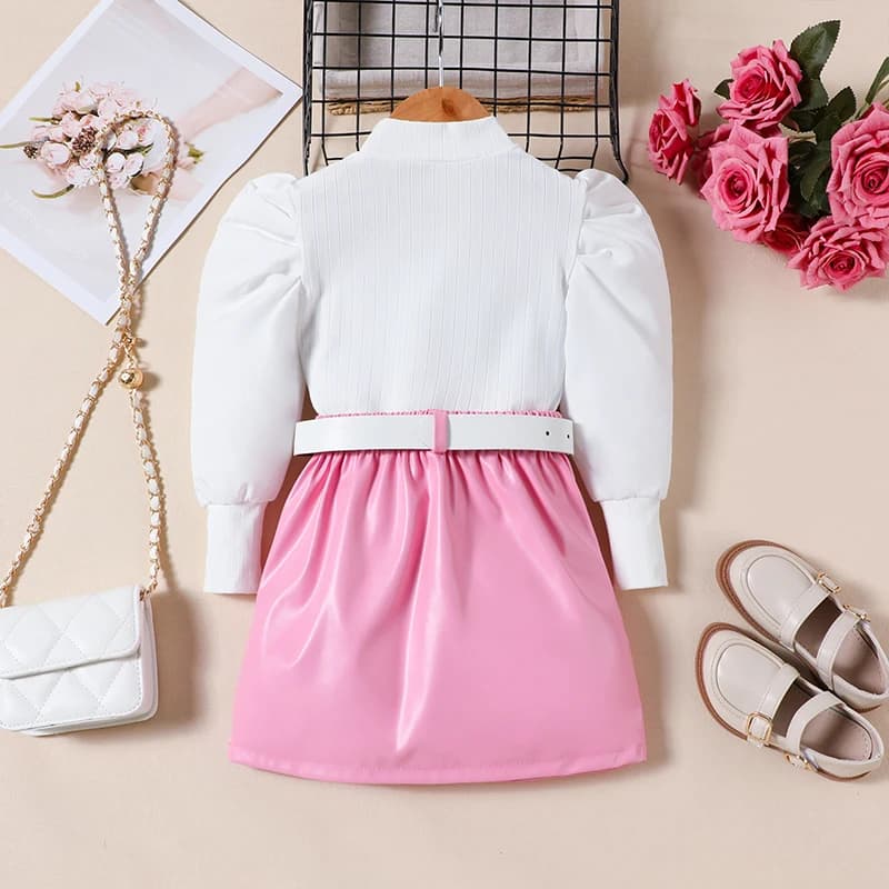 Girls Long Sleeve Top and Skirt Set