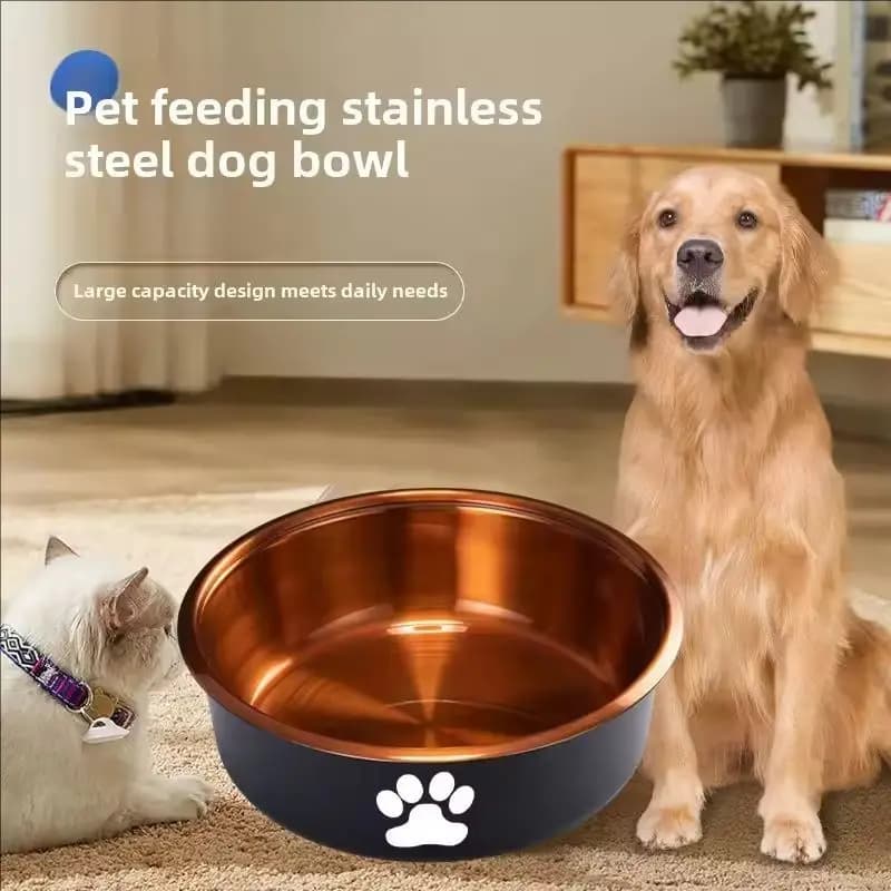 Stainless Steel Non-Slip Pet Bowl Set