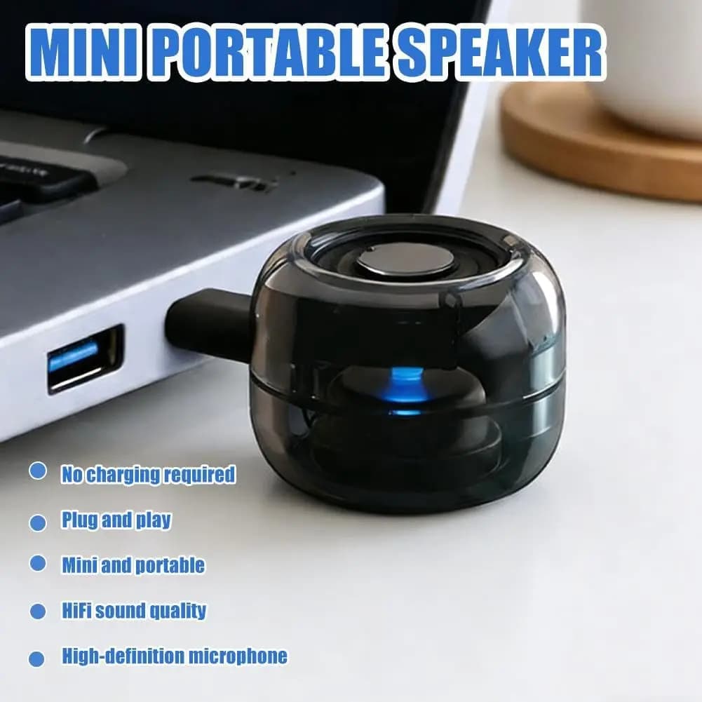 Type-C Portable Speaker Amplifier