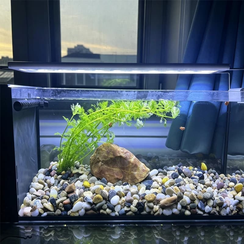 Aquarium LED Fish Tank Light, 3 Color Full Spectrum Adjustable Water Plant Lamp, Telescopic Clip-On Light for 18-75cm Aquariums