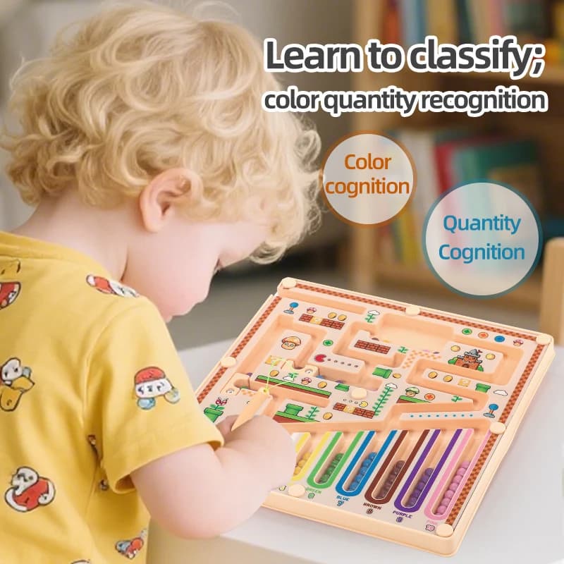 Magnetic Maze Advanced Puzzle Toy