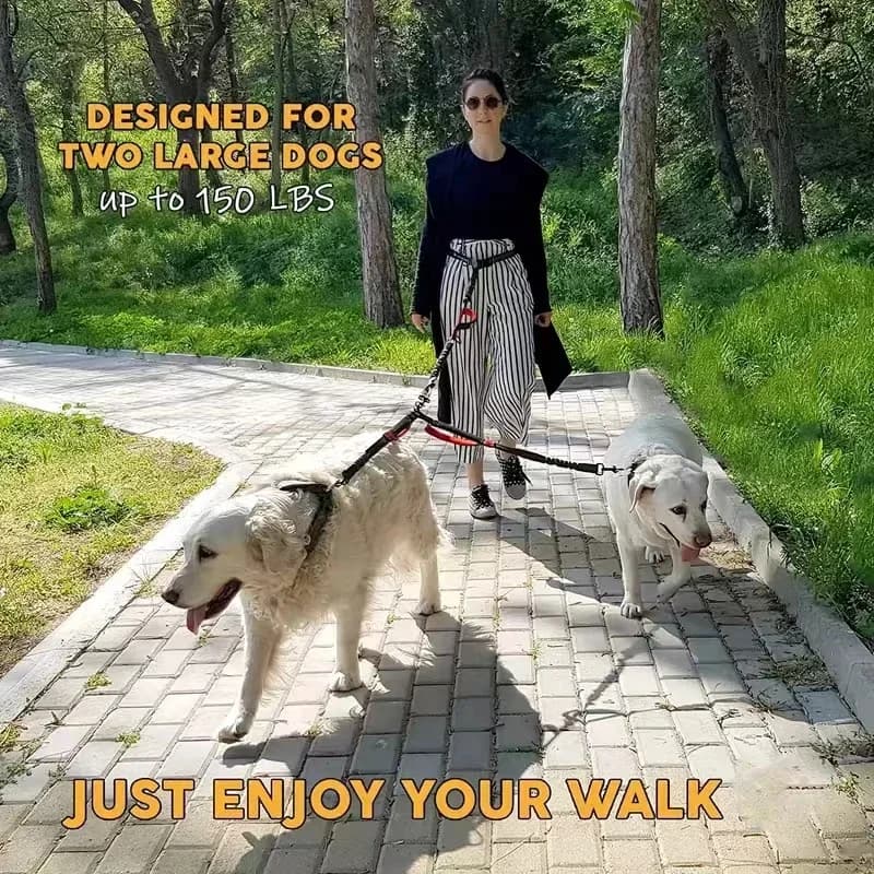 Dual Dog Leash Coupler with Padded Handles