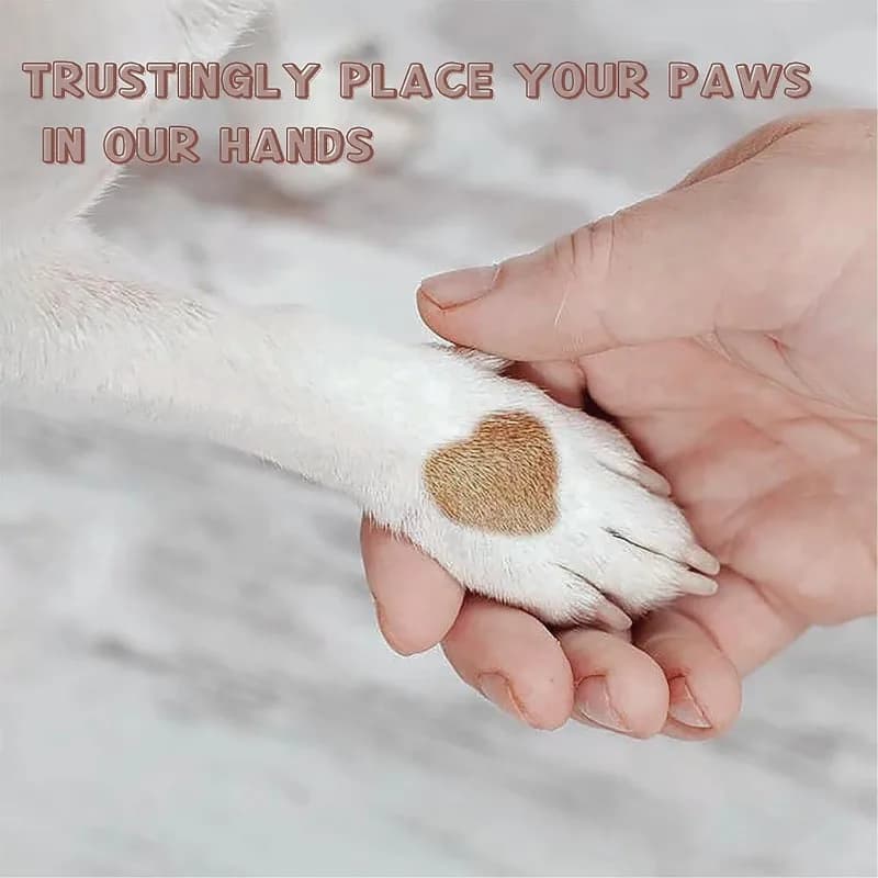 Dog Nail File Grinding Tool