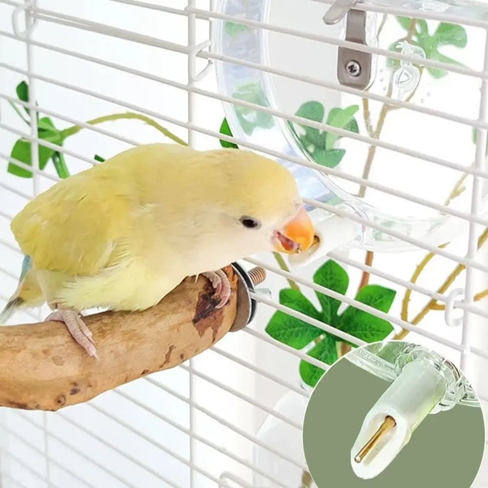 Bird Water Feeder Bottle 350ml Transparent