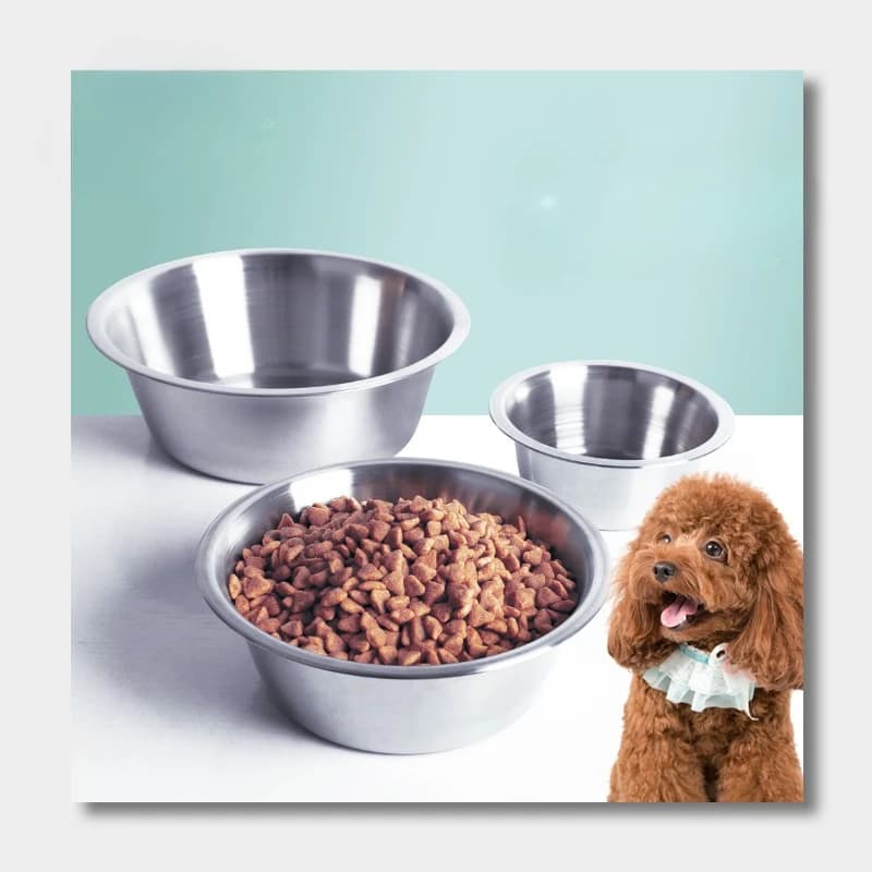 Stainless Steel Pet Bowl with Silicone Base