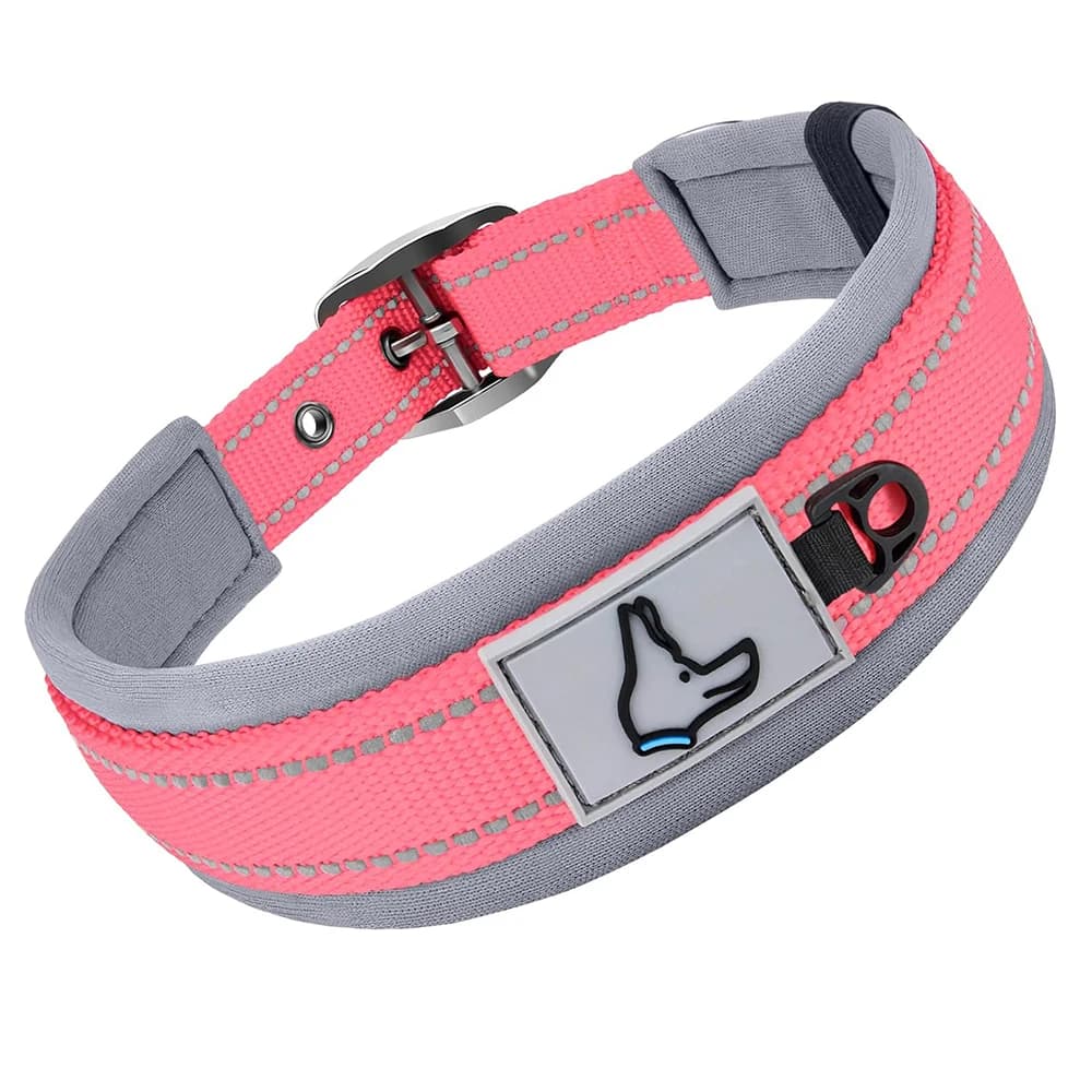Padded Reflective Dog Collar with Metal Buckle