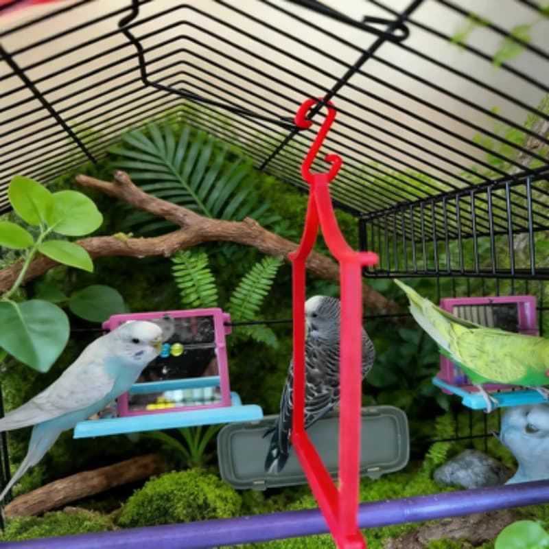 House Shape Bird Swing Perch