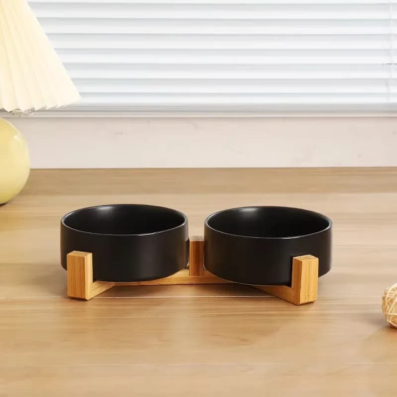 Elevated Ceramic Pet Bowl Feeder Set