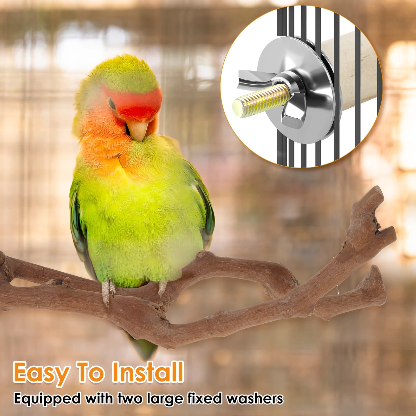 Solid Wood Bird Perch Stand Set