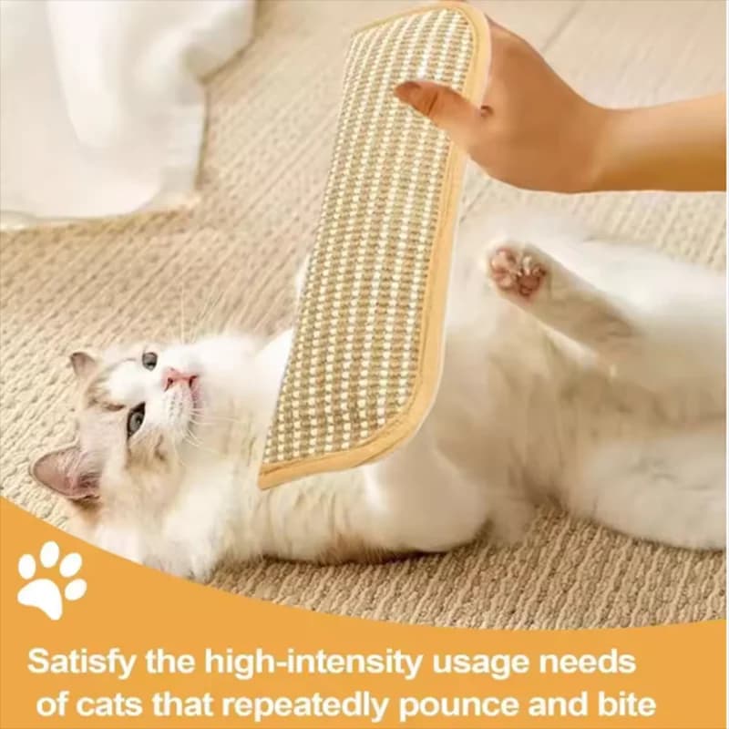 Cat Scratcher Interactive Toys for Cat Catnip Pillow Kitten Claw Grinder Scratching Post for Cats Chew Bite Toys Pet Supplies