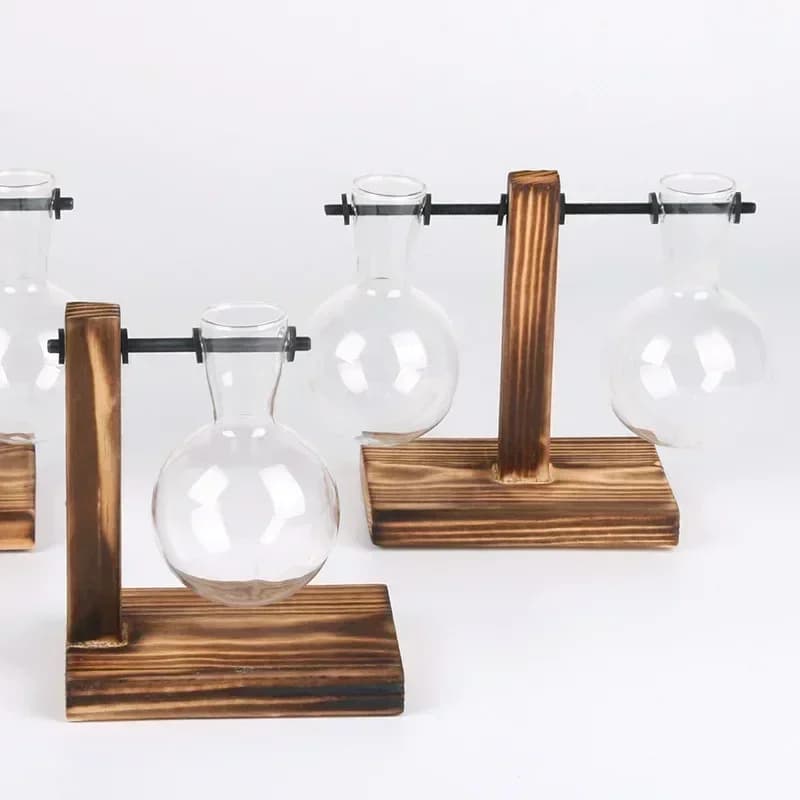 Hydroponic Plant Terrarium with Wooden Stand
