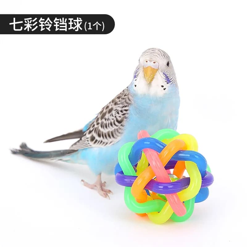 Bird Cage Activity Toy