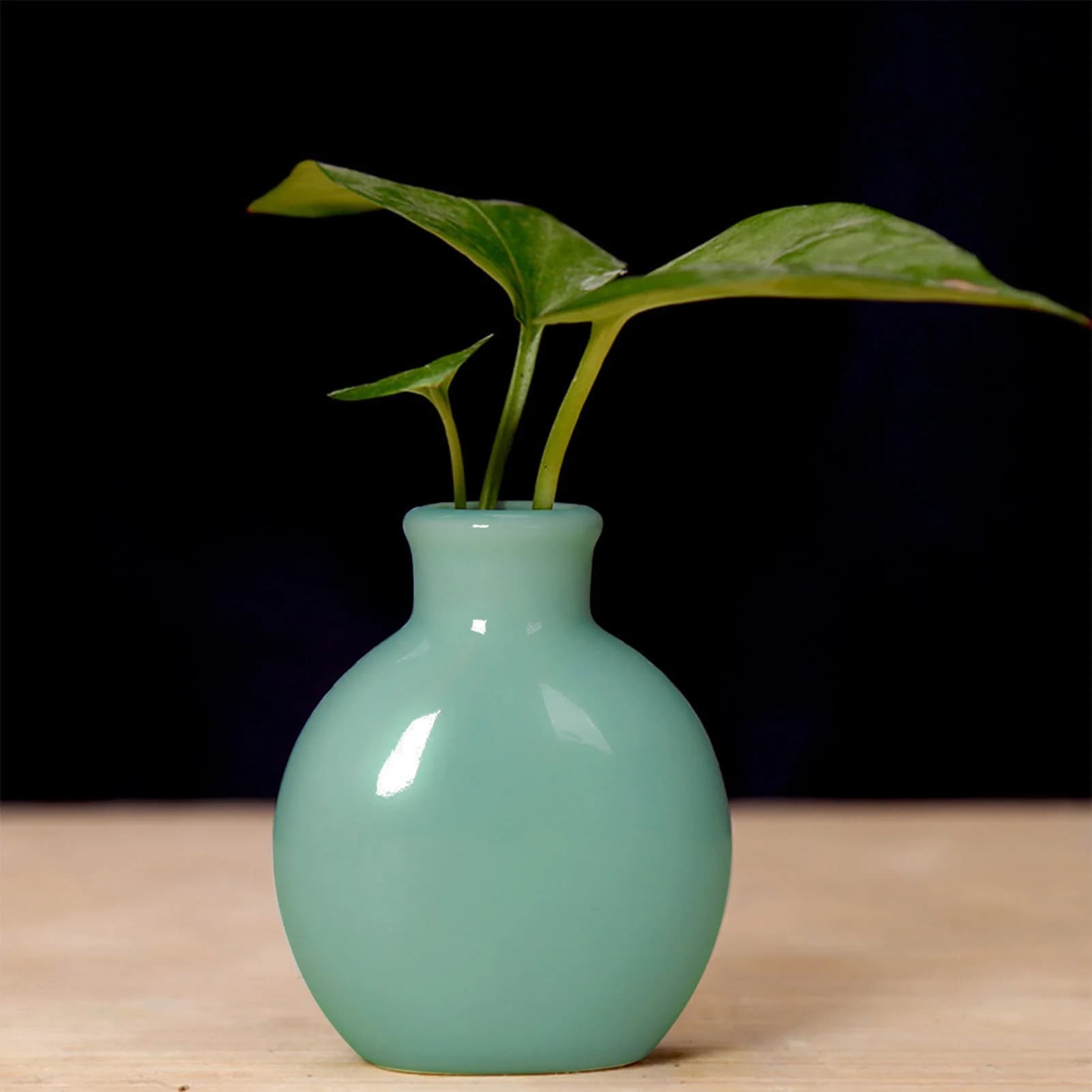 Ceramic Flower Vase for Plants