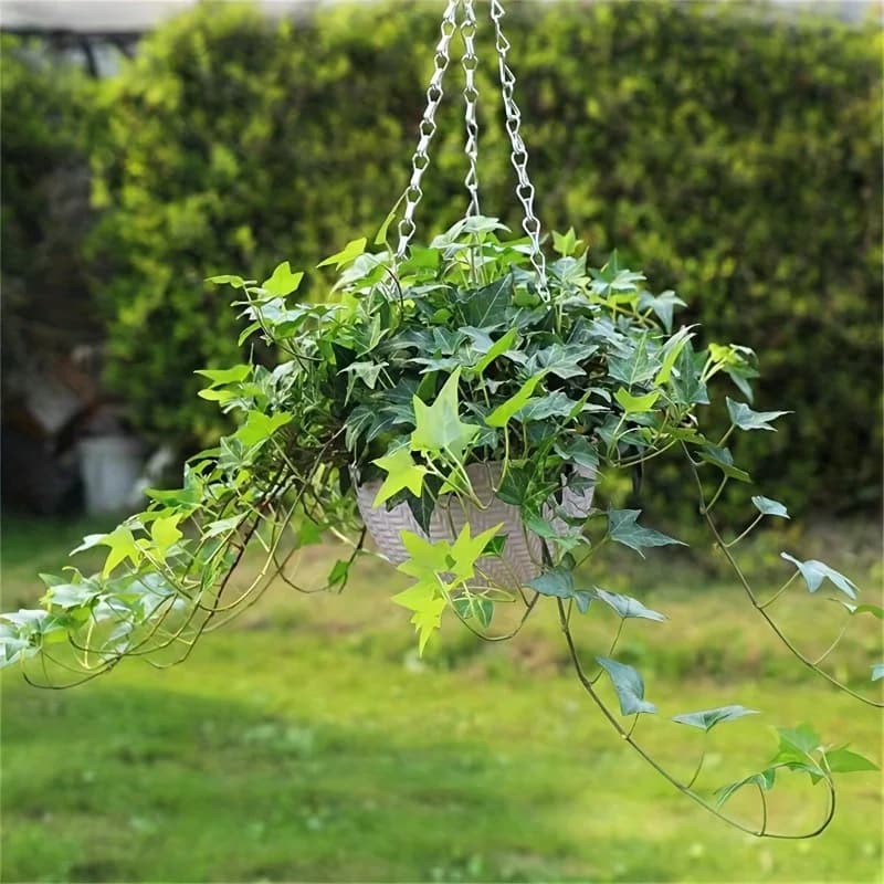 Hanging Flower Pots for Garden and Balcony
