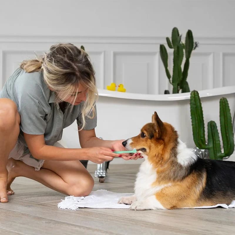 Soft-Bristle Pet Toothbrush