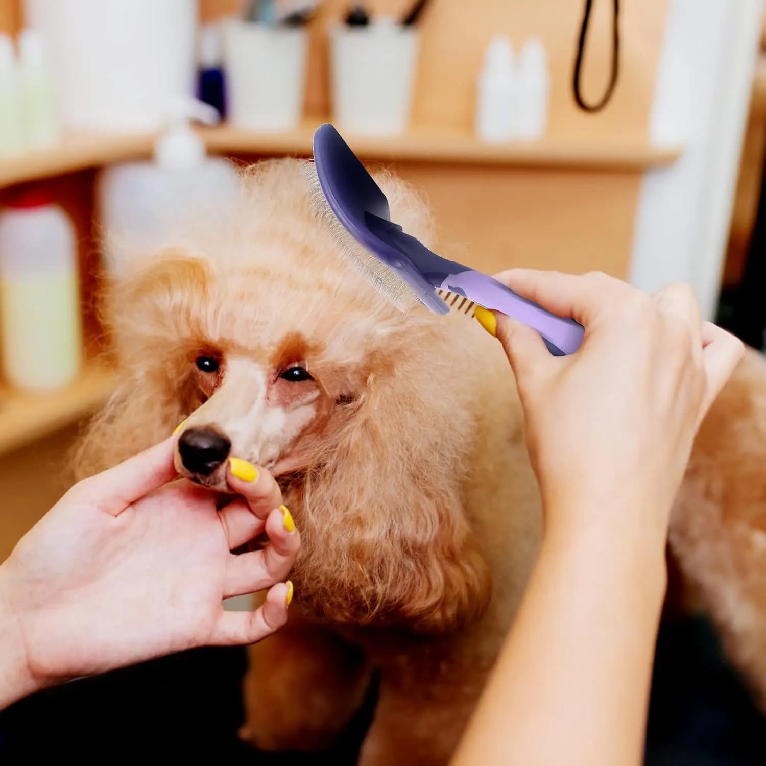 Dog Dematting and Detangle Brush