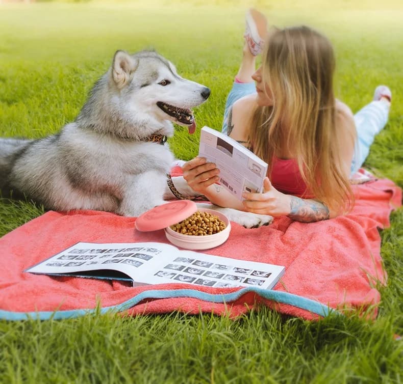 Portable Outdoor Pet Bowl with Treat Compartment