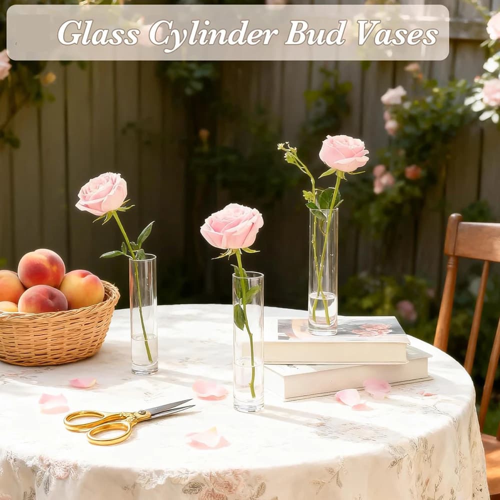 Glass Cylinder Bud Vases