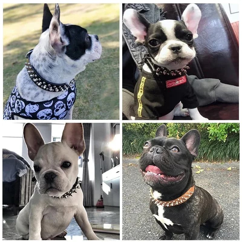 Adjustable Punk Rivet Pet Collar with Spikes