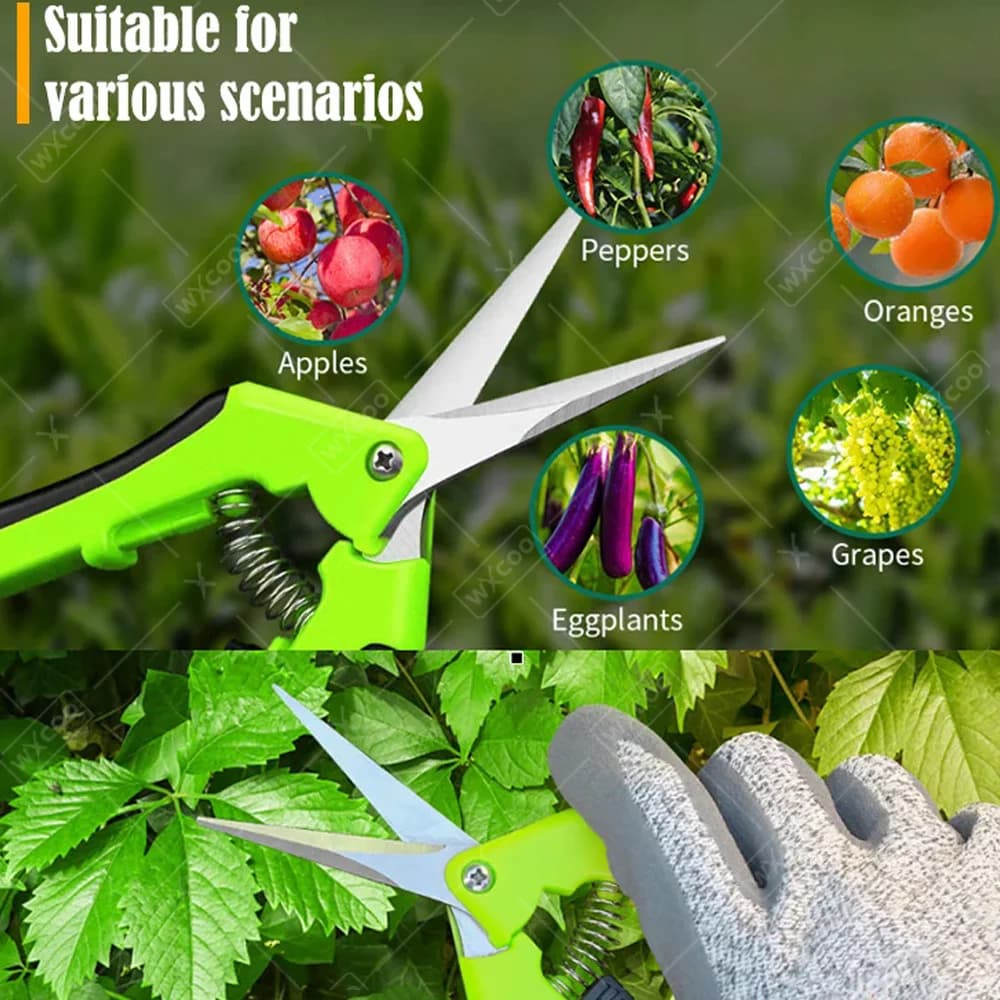 Pruning Shears with Non-Slip Grip