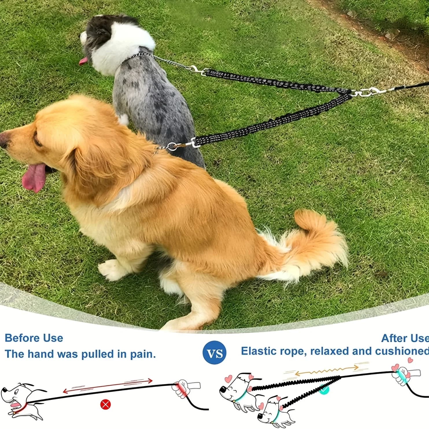 Double Dog Leash Coupler with Reflective Bungee