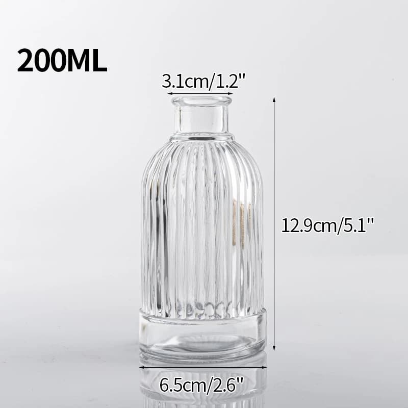 Clear Glass Minimalist Flower Vase