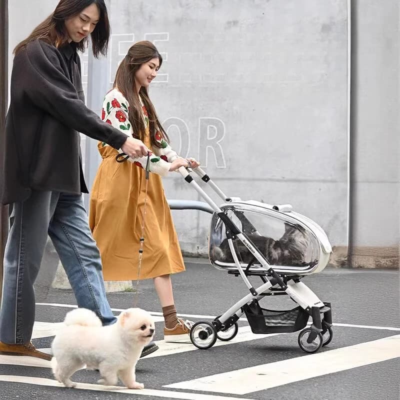 Portable Pet Stroller Folding Disassembling Cat Carrying Outdoor Windproof Rainproof Cat Bag Panoramic Breathable Pet Supplies